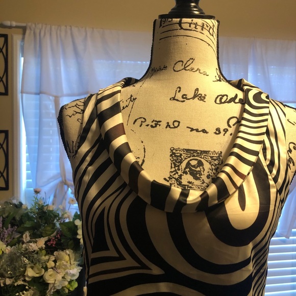 The Limited Sleeveless Zebra Striped Blouse SZ XS - Picture 2 of 6